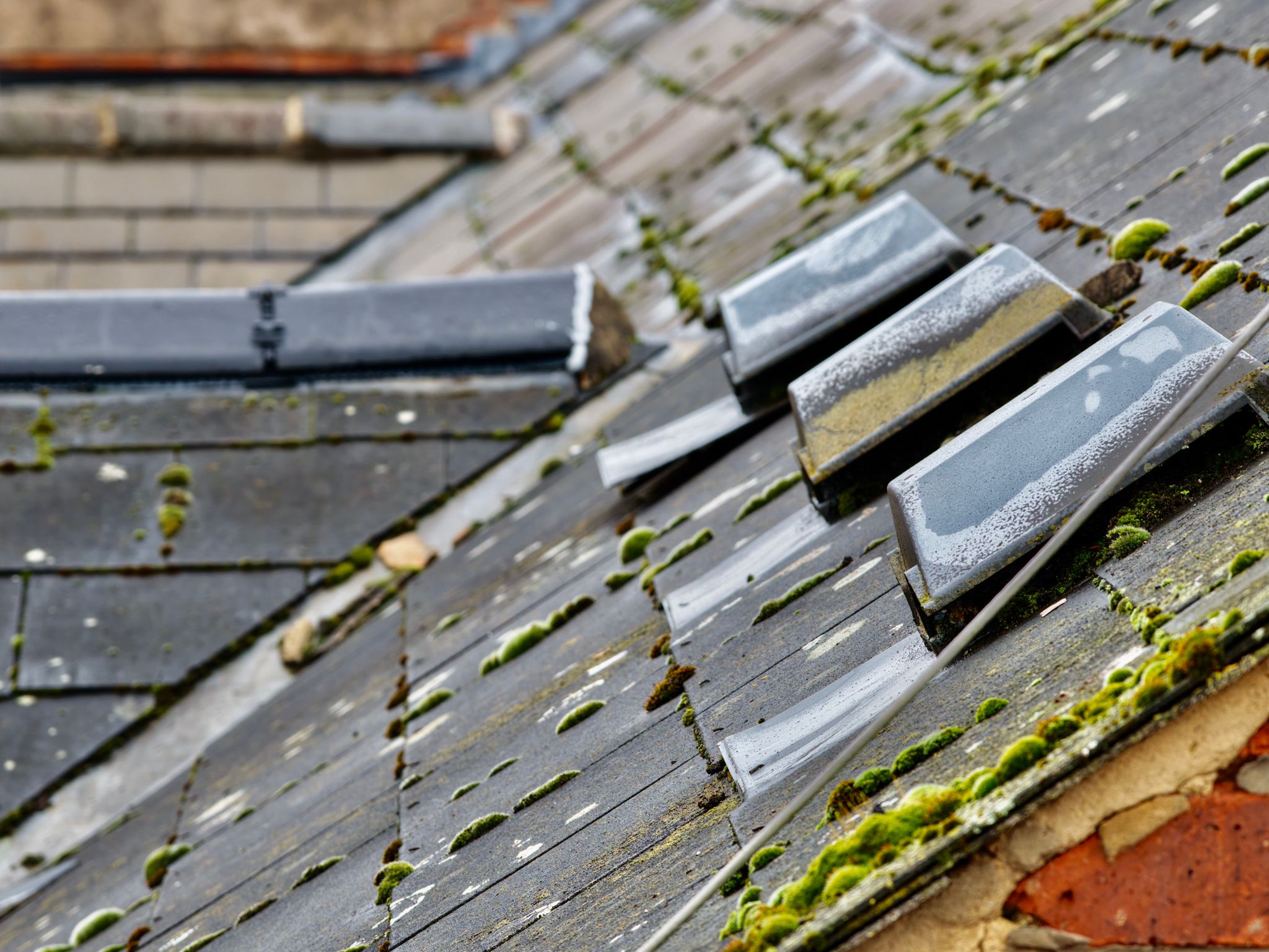 Heavily deteriorated roof tiles with extensive moss growth